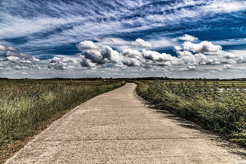 Texel par Jakob Huizen van