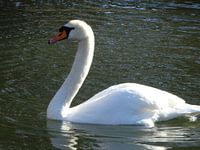 Lichter und Schatten