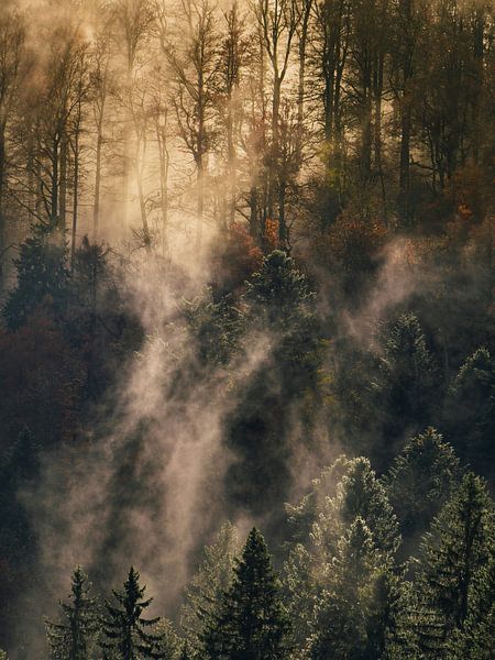 Burning fog by Julien Beyrath