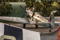 Feuerspucker in der Sonne