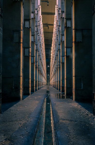 Schwarzer Fluss Industrie von Dafne Op 't Eijnde