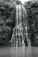 Naturfoto Wasserfall in Neuseeland