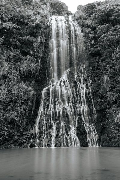 Naturfoto Wasserfall in Neuseeland von Senta Bemelman