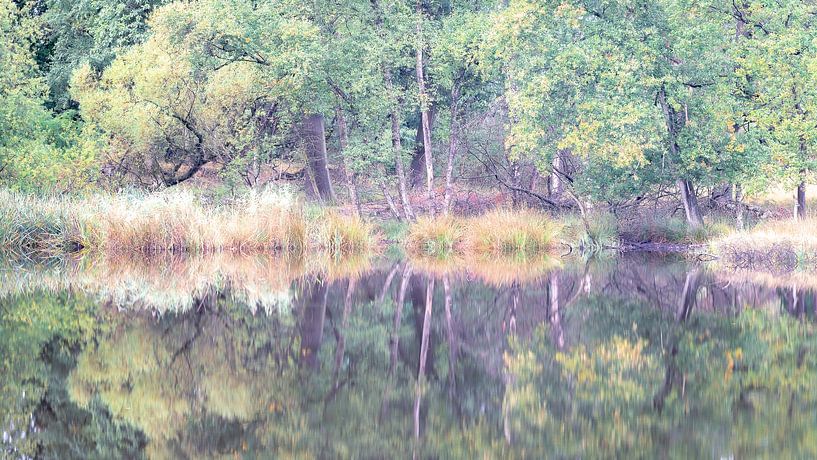 Überlegungen zur Noorderheide von Sonny Vermeer