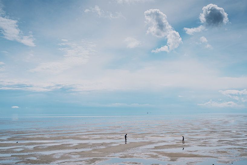 Wattwanderer von Tom Rijpert