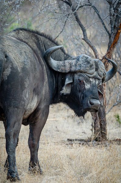 What do you want? by Peter Vruggink