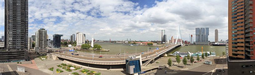 Heel Rotterdam op één foto by Roy Poots