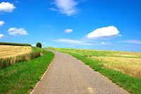 vous invitent à faire un tour et à réfléchir.