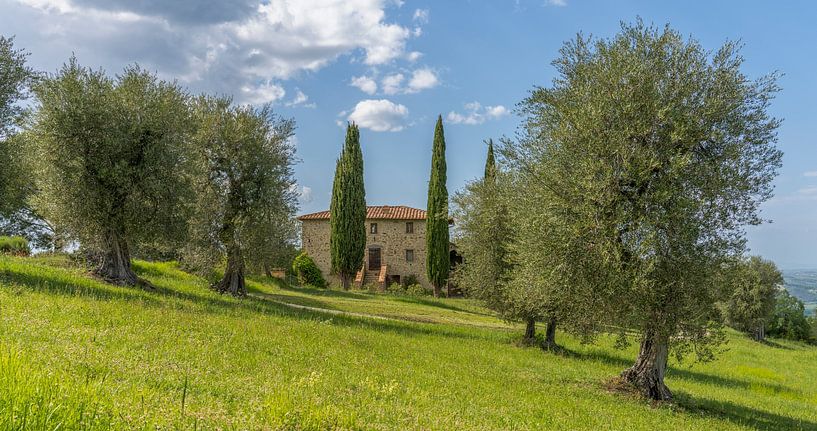 Podere Toscaberna in Seggiano Toskana von Teun Ruijters