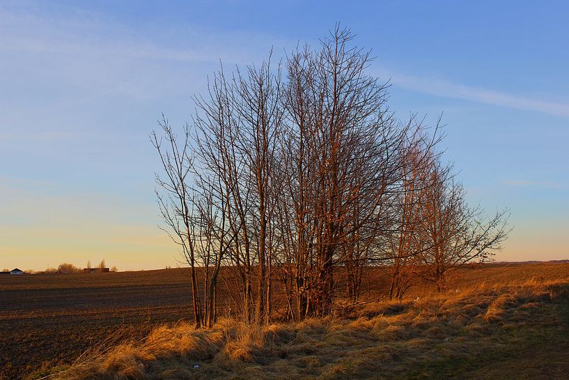 Evening sun by Ostsee Bilder