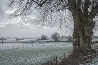 Lastkahn auf dem Lek