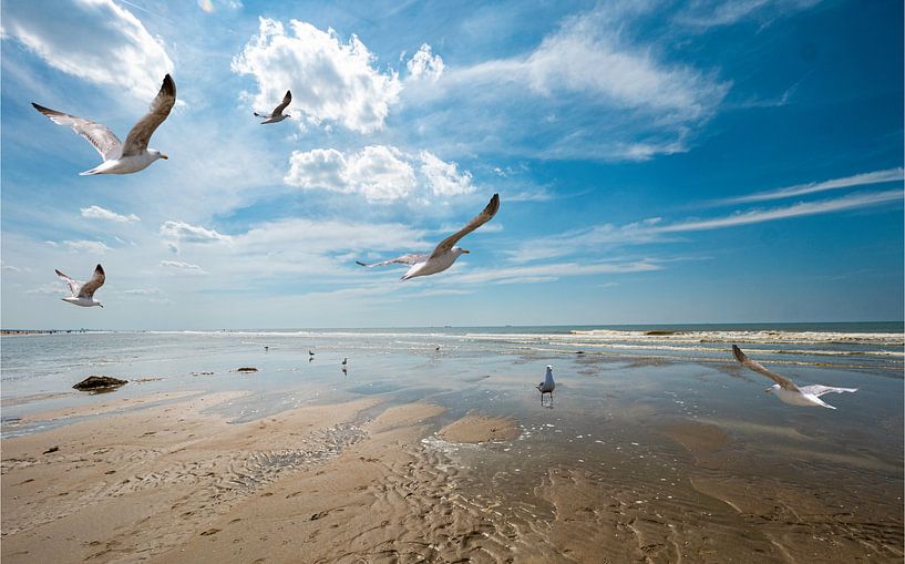 Plage de la mer du Nord près de Katwijk par Kees van den Burg