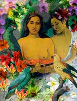 Die Fütterung der Papageien