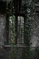 FORT DE LA CHARTREUSE URBEX