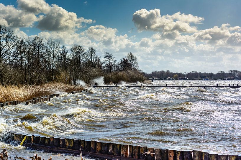 Storm von Hans Hoogers