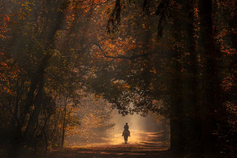 Reiten Herbstmorgen von Axel Drenth
