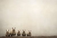 Le troupeau de moutons