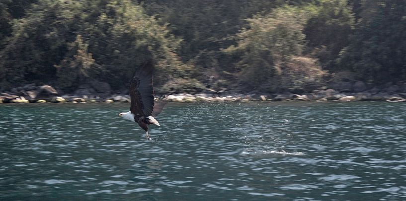 Pro Fishing by BL Photography