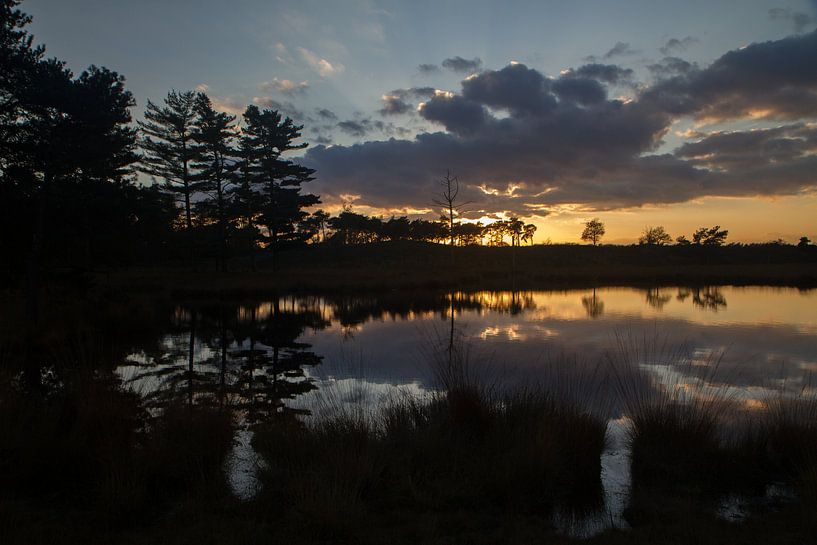 Haterse vennen: laatste licht by Tessa Louwerens