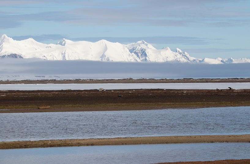 Un paysage unique. par Tineke Koen