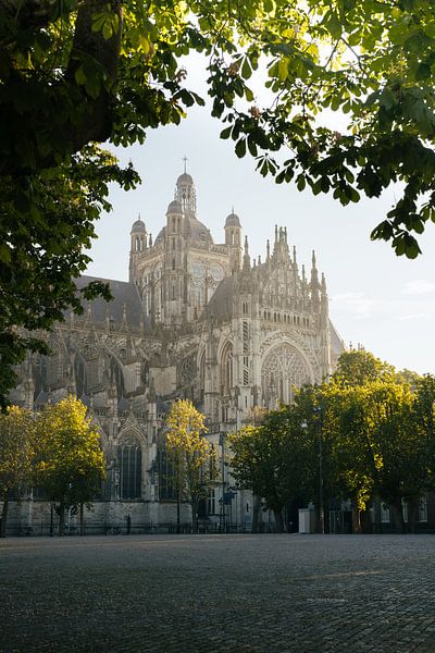 Sint-Jan Den Bosch #2050 von studioroep