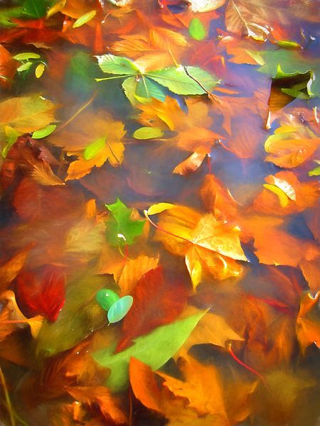 Herbst Rast von Henk Egbertzen