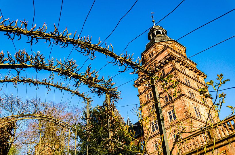 Schloss Johannisburg in Aschaffenburg von Dieter Walther