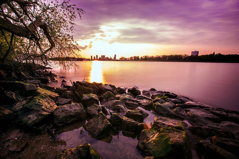 Rotterdam - Insel Brienenoord von Steven Dijkshoorn