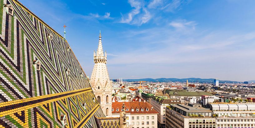 Vienne et la cathédrale Saint-Étienne par Werner Dieterich