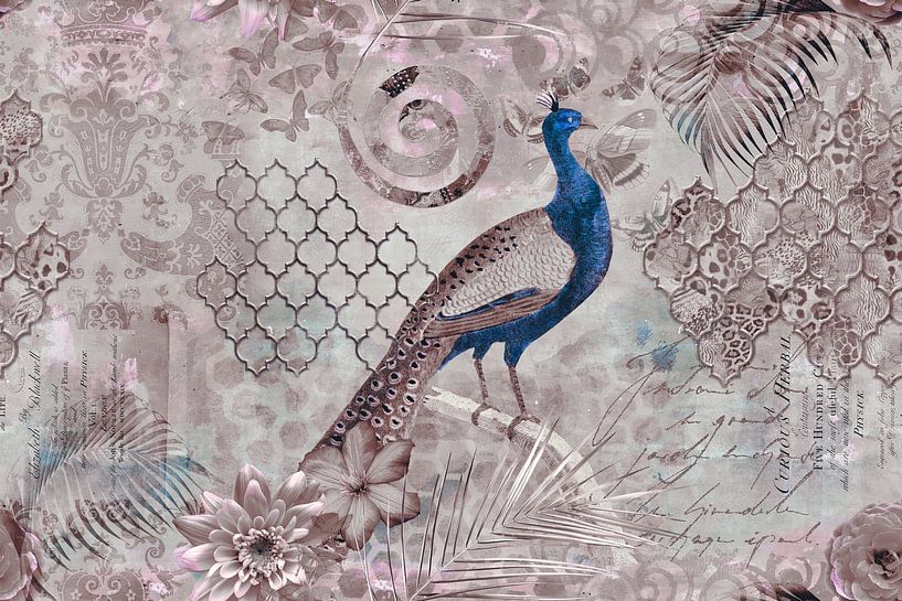 Dans le paradis magique du paon par Andrea Haase