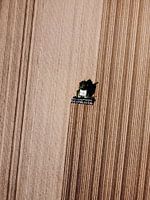 Aussaat für eine neue Ernte