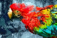 Perroquet abstrait