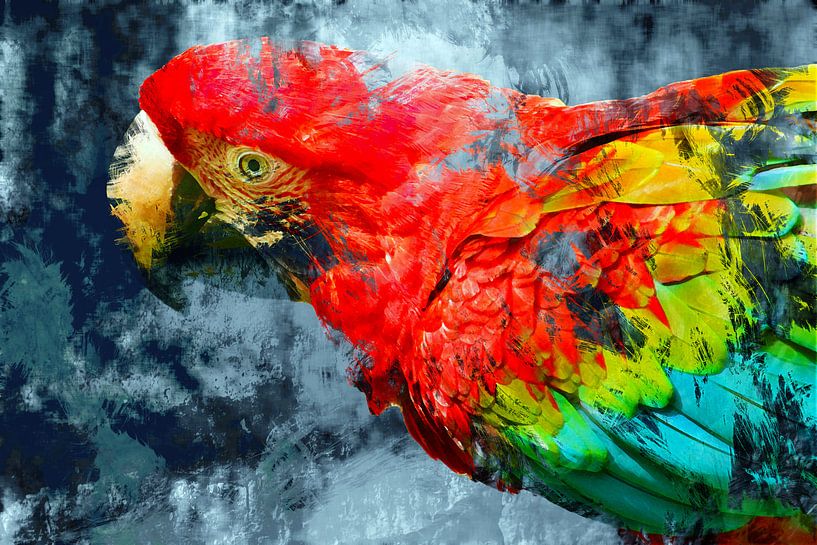 Abstrakter Papagei von Studio Mirabelle
