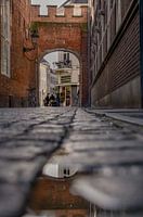 Ruissche Poort 's-Hertogenbosch