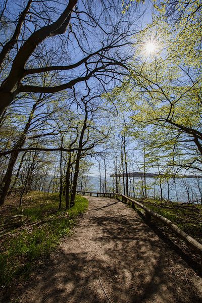 Cycling and walking path along the natural beach in the Goor by GH Foto & Artdesign