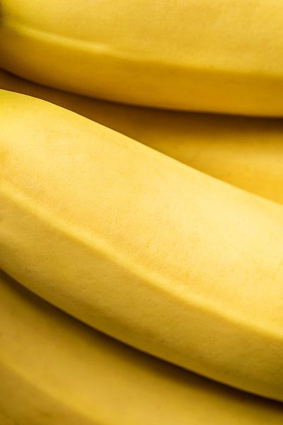 Bananas by Fabian Boot