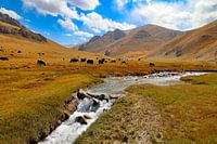 Landscape Kyrgyzstan