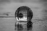 Boule d'objectif sous la pluie