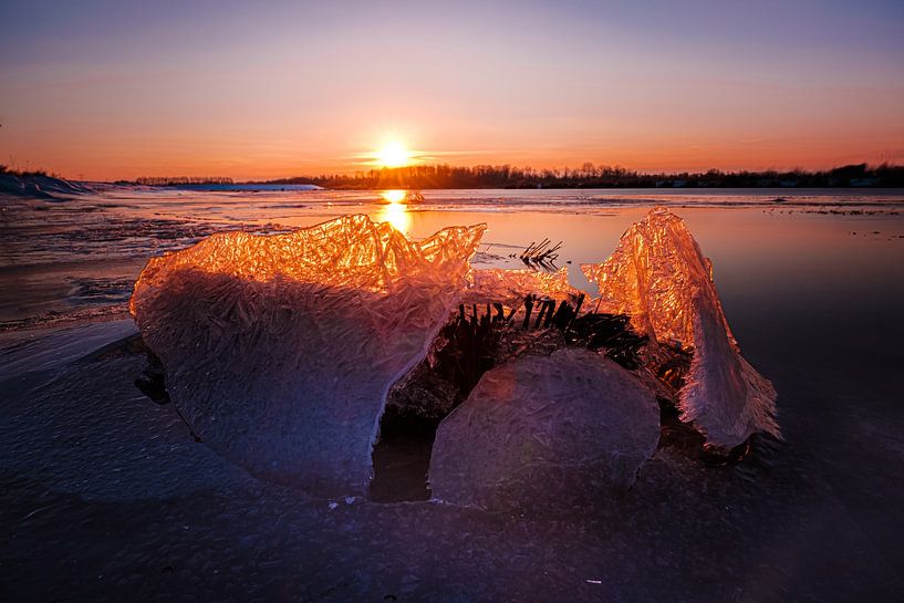 L'hiver dans le Biesbosch par Eddy Westdijk