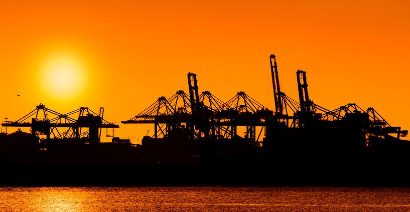 Zonsondergang in de haven van Ton van Buuren