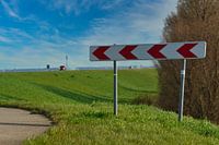 Verkeerde Pijlen, Juiste Richting: De Dijk van Lelystad en de Oostvaardersplassen.