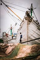 Hands That Carry the Harbor