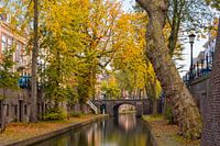 Herbstlich Lange Nieuwe gracht