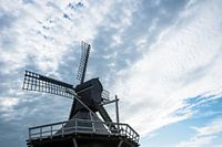 Molen