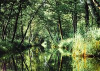 Une réserve naturelle enchantée