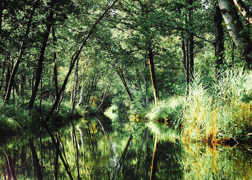 Une réserve naturelle enchantée par Janny Talhout