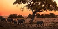 Sunset Etosha National Park