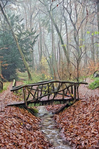 Brücke im Wald von Jurjen Jan Snikkenburg