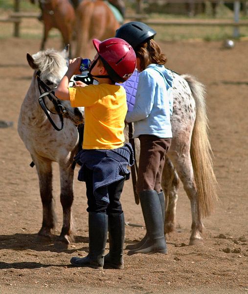 Reitstunde von insideportugal