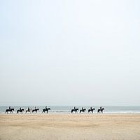 Paarden aan de kust